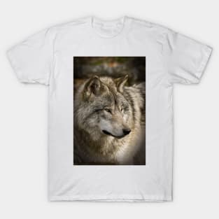 Timber Wolf T-Shirt